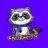 Oldest Raccoon