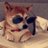 dogwithSHDZ