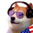 Dogecast (dogecast.build)