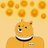 XRP DOGE
