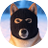 project-logo-img