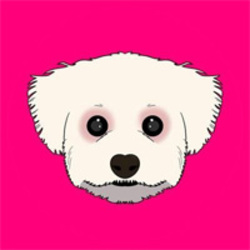project-logo-img