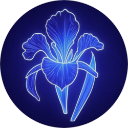 project-logo-img
