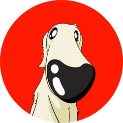 Borzoi Coin