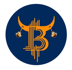 BullcoinBSC