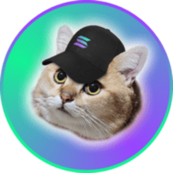 CatSolHat