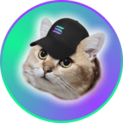 CatSolHat