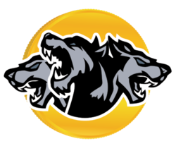 company logo