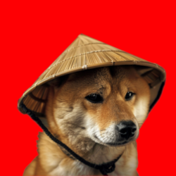 Chinese Doge Wow