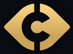 company logo
