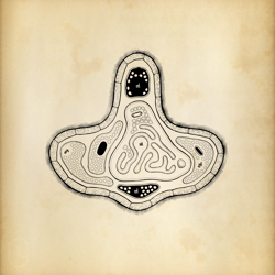 Cytographia by Golan Levin