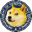 Department of Government Efficiency DOGE