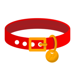 Dog Collar