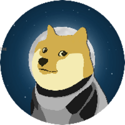 DOGE-1