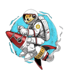 Doge-1 Mission to the moon