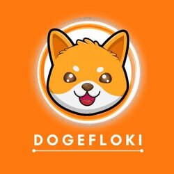 Doge Floki Coin [OLD]