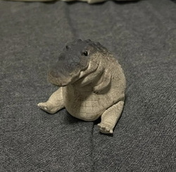 Gomu Gator