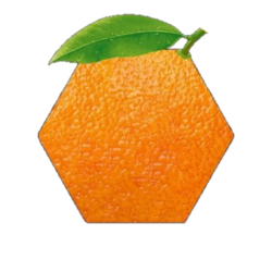 project-logo-img