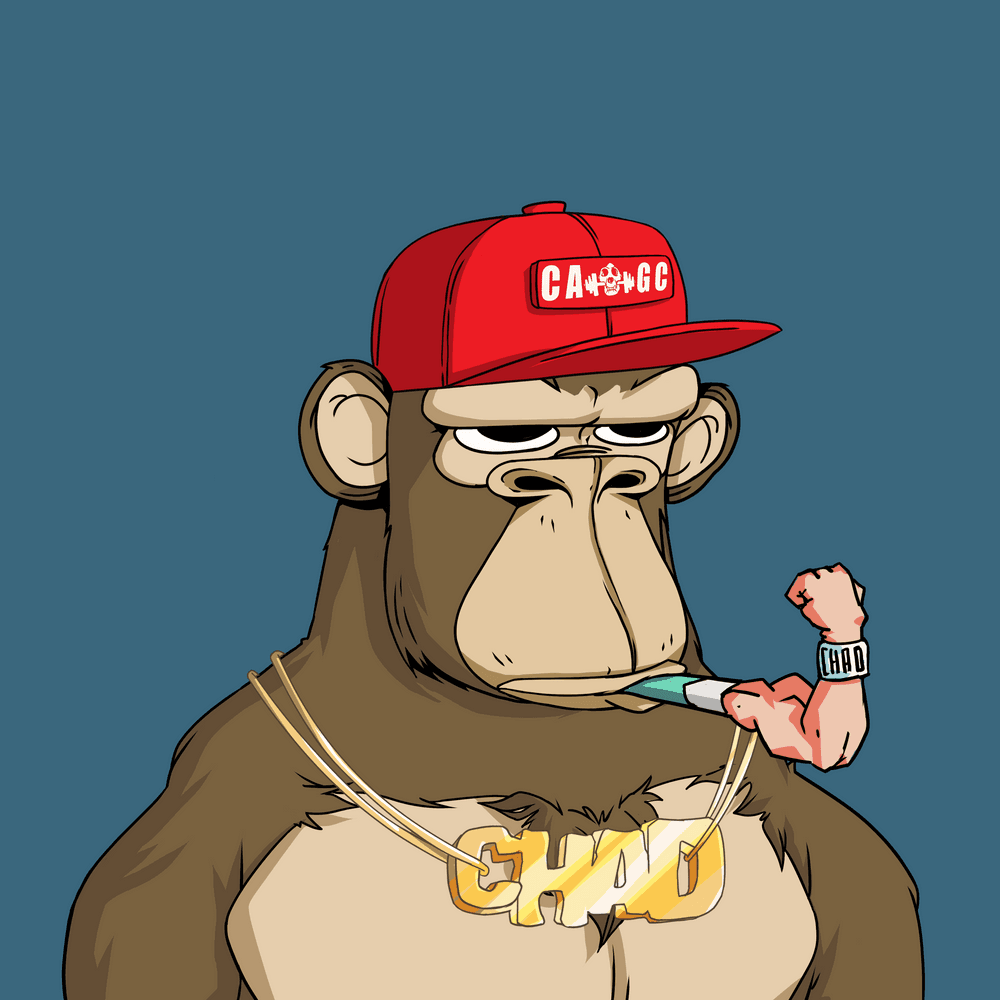 project-logo-img