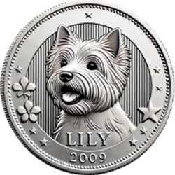 Lily's Coin