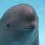 Miharu The Smiling Dolphin