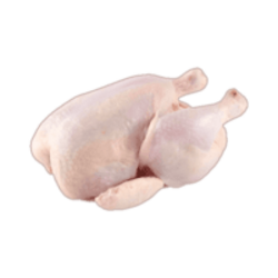 Raw Chicken Experiment