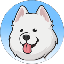 Samoyed