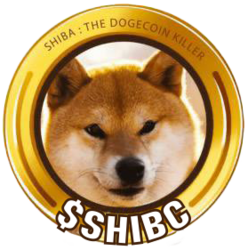 Shiba Classic