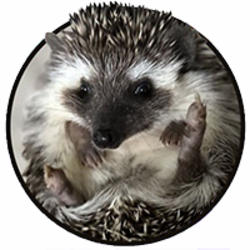 project-logo-img