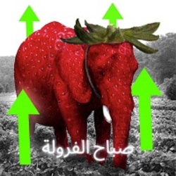 Strawberry Elephant