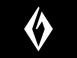 company logo