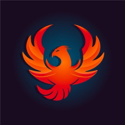 company logo