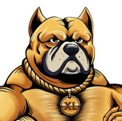 project-logo-img