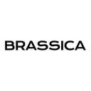 Brassica