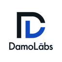 Damo Labs