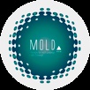 MOLD